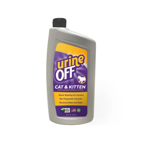Urine Off Katze