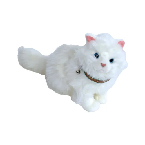 Lief! Jungen Katzenhalsband