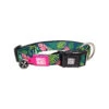 Max & Molly Smart ID Halsband Tropical -Myd Pet Geschaft max molly smart id halsband tropical s 111871 2000 none