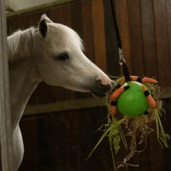 Maximus Fun Play Ball Für Pferde 13 Maximus Fun Play Ball Für Pferde -Myd Pet Geschaft maximus fun play ball voor paarden 207830 0500 none