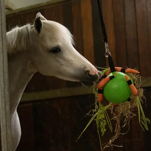 Maximus Fun Play Ball Für Pferde 6 Maximus Fun Play Ball Für Pferde – Bild 6