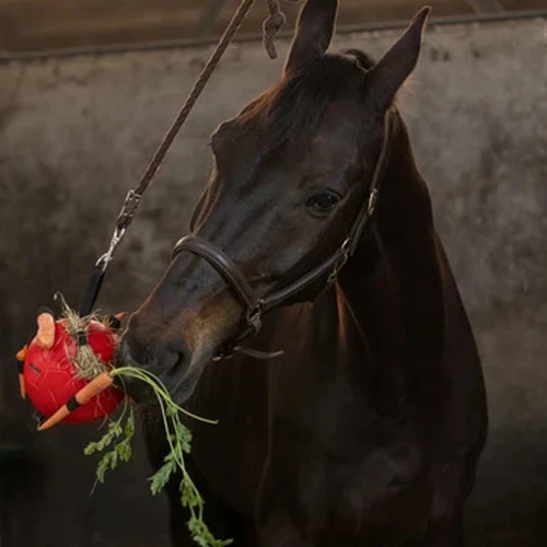 Maximus Fun Play Ball Für Pferde 7 Maximus Fun Play Ball Für Pferde – Bild 7