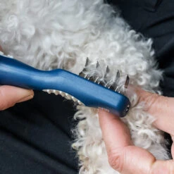 Mikki Doodle De-Matter 7 Mikki Doodle De-Matter -Myd Pet Geschaft mikki doodle de matter 194486 2000 none