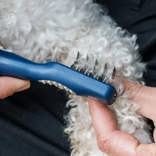 Mikki Doodle De-Matter -Myd Pet Geschaft mikki doodle de matter 194486 2000 none