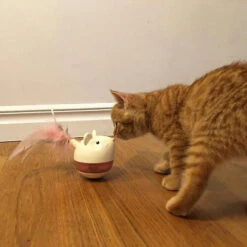 Nina Ottosson Hunt 'n Swat Tumbler -Myd Pet Geschaft nina ottosson hunt n swat tumbler 180979 0500 none