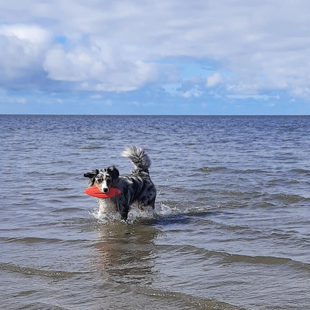 Nobby TPR Lifeboard Mit Seil 2 Nobby TPR Lifeboard Mit Seil – Bild 2