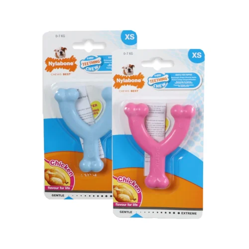 Nylabone Puppy Dental Wishbone -Myd Pet Geschaft nylabone puppy dental wishbone 223810 2000 none