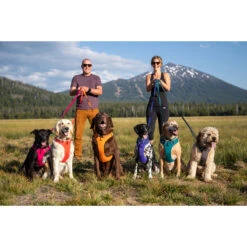 Ruffwear Front Range Harness -Myd Pet Geschaft oj0HgzdDfttHkCMpjNmngI13fzDiqo metac2ZlZXItZnJvbnRyYW5nZS0yLmpwZw