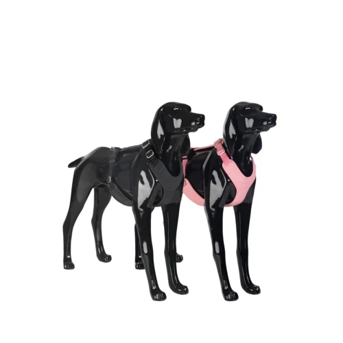 PAIKKA Visibility Harness -Myd Pet Geschaft paikka visibility harness 217813 2000 none