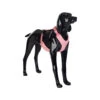 PAIKKA Visibility Harness -Myd Pet Geschaft paikka visibility harness pink xs 134556 2000 none