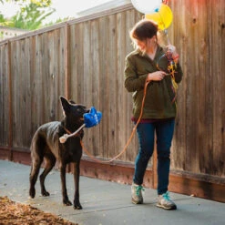 P.L.A.Y. Pet Party Time Collection - Best Day Ever Balloon 6 P.L.A.Y. Pet Party Time Collection - Best Day Ever Balloon -Myd Pet Geschaft party time collection best day ever balloon 198416 0500 none