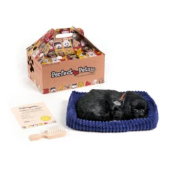 Myd Pet Geschaft -Myd Pet Geschaft perfect petzzz soft zwarte labrador 151045 2000 none