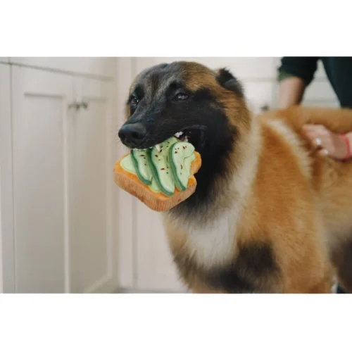 P.L.A.Y. Barking Brunch - Avo-doggo Toast 6 P.L.A.Y. Barking Brunch - Avo-doggo Toast -Myd Pet Geschaft play barking brunch avo doggo toast 182599 1000 none