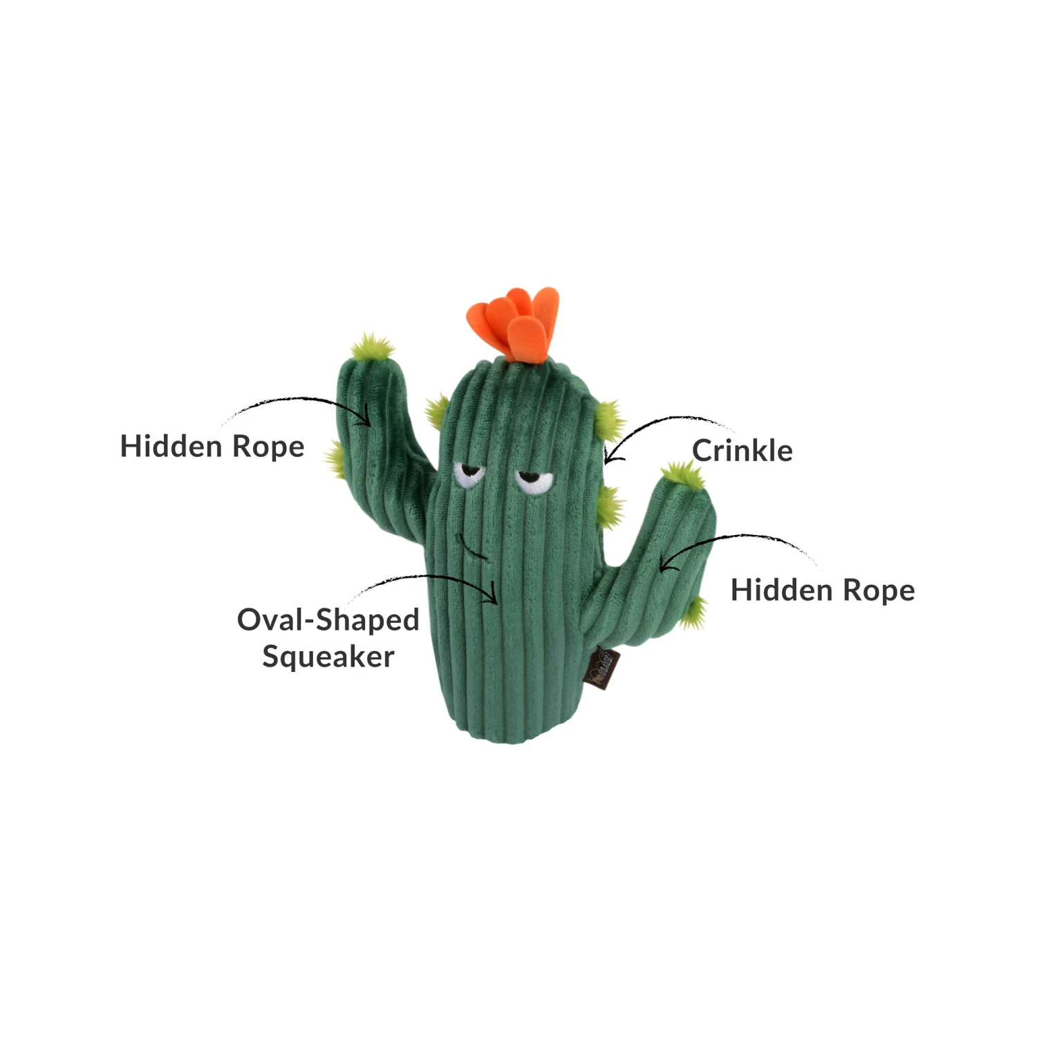 P.L.A.Y. Pet Blooming Buddies - Prickly Pup Cactus 2 P.L.A.Y. Pet Blooming Buddies - Prickly Pup Cactus – Bild 2