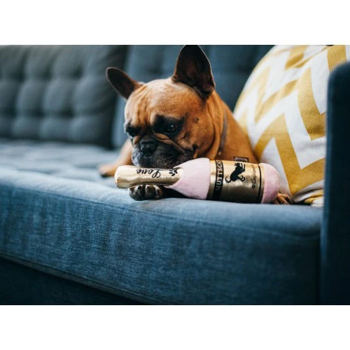 P.L.A.Y. Pet Puppy Love - Muttscato Bottle Pluche 2 P.L.A.Y. Pet Puppy Love - Muttscato Bottle Pluche – Bild 2