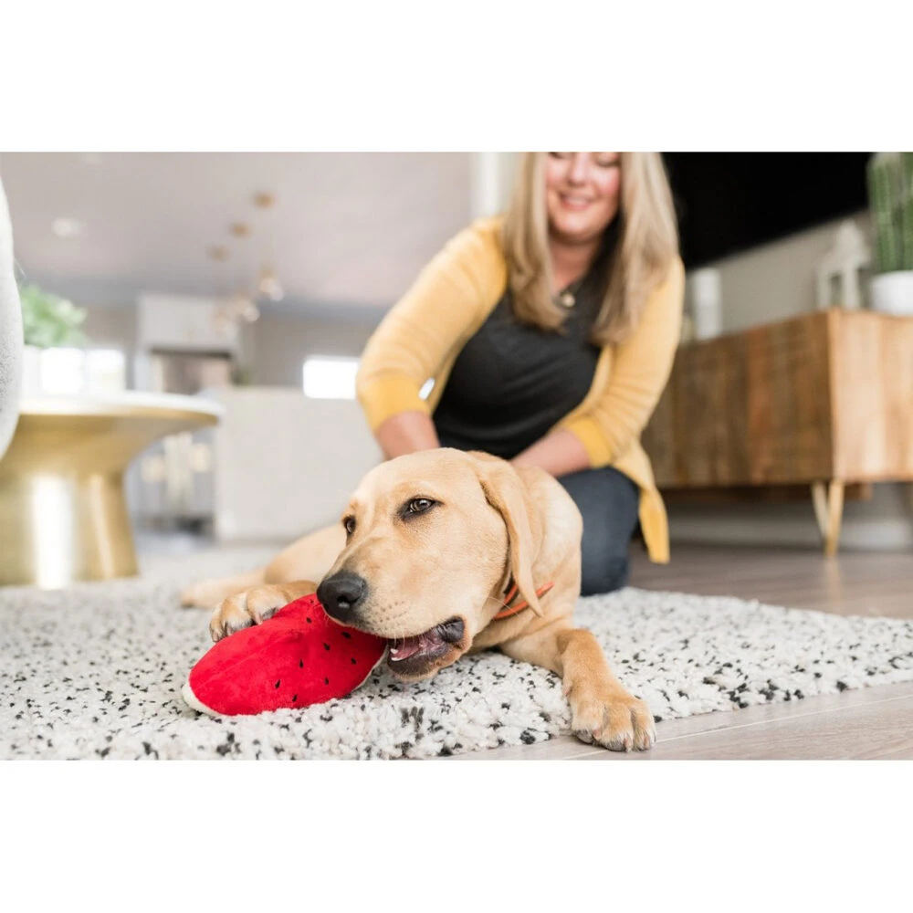 P.L.A.Y. Tropical Paradise - Watermelon 2 P.L.A.Y. Tropical Paradise - Watermelon – Bild 2