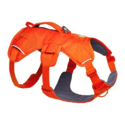 Ruffwear Webmaster Harness 19 Ruffwear Webmaster Harness -Myd Pet Geschaft ppoq2k7ijW3o1JQN1avdwcwoJeahKr metaUnVmZndlYXItV2VibWFzdGVyLUJsYXplLU9yYW5nZS0xLmpwZw