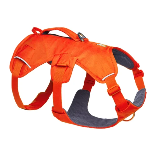 Ruffwear Webmaster Harness 19 Ruffwear Webmaster Harness -Myd Pet Geschaft ppoq2k7ijW3o1JQN1avdwcwoJeahKr metaUnVmZndlYXItV2VibWFzdGVyLUJsYXplLU9yYW5nZS0xLmpwZw