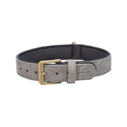 Beeztees Balacron Ax Hundehalsband 25 Beeztees Balacron Ax Hundehalsband -Myd Pet Geschaft prod 15392 216316 1000 none