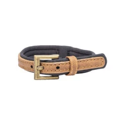 Beeztees Balacron Ax Hundehalsband 30 Beeztees Balacron Ax Hundehalsband -Myd Pet Geschaft prod 15392 216326 1000 none