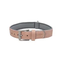 Beeztees Balacron Ax Hundehalsband 35 Beeztees Balacron Ax Hundehalsband -Myd Pet Geschaft prod 15392 216331 1000 none