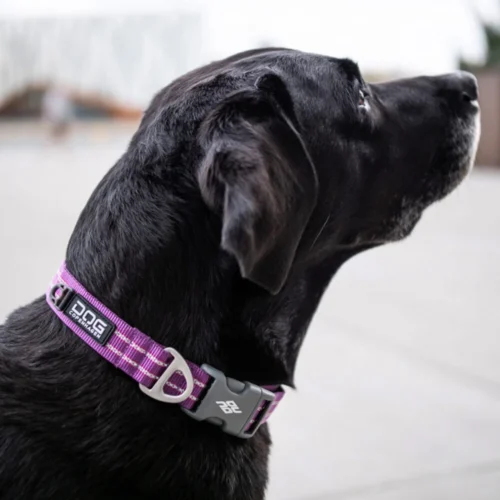 DOG Copenhagen Urban Style™ Halsband -Myd Pet Geschaft prod 15937 220286 1000 none