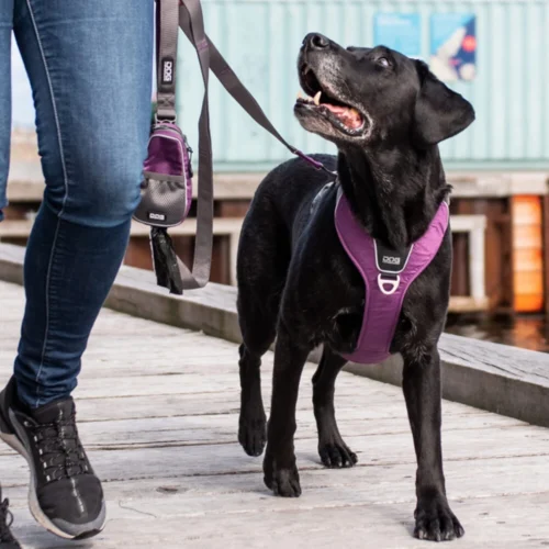 DOG Copenhagen Comfort Walk Pro™ Geschirr 37 DOG Copenhagen Comfort Walk Pro™ Geschirr -Myd Pet Geschaft prod 15938 220297 1000 none