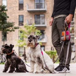 DOG Copenhagen Urban Trail Leine -Myd Pet Geschaft prod 15941 220339 1000 none