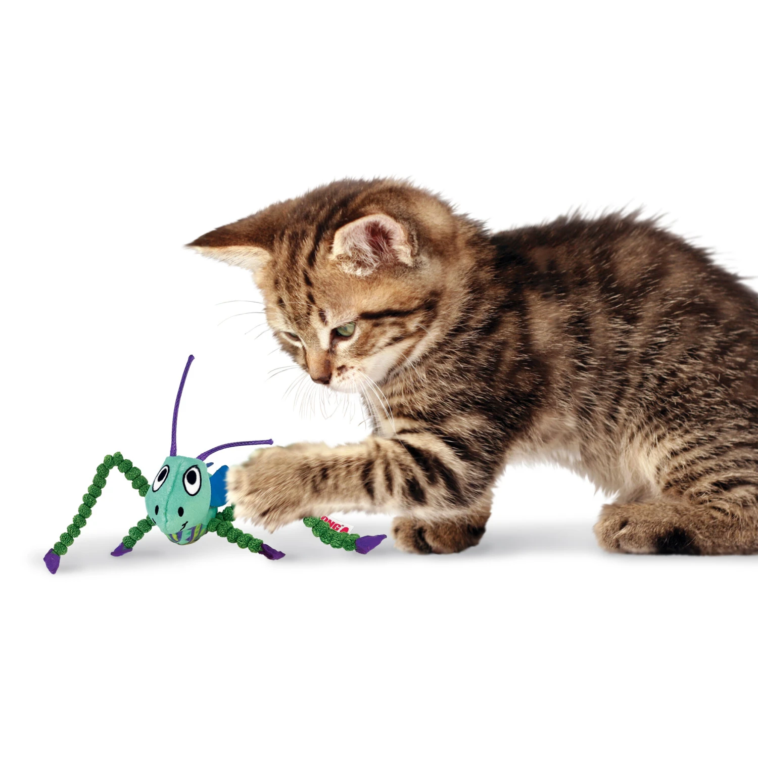 KONG Crackles Grashüpfer 2 KONG Crackles Grashüpfer – Bild 2