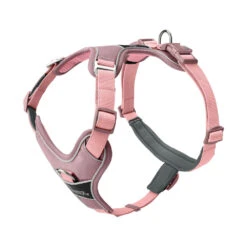 Hunter Geschirr Divo Up 10 Hunter Geschirr Divo Up -Myd Pet Geschaft prod 17224 225879 1000 none