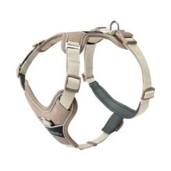 Hunter Geschirr Divo Up 11 Hunter Geschirr Divo Up -Myd Pet Geschaft prod 17224 225881 1000 none