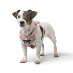 Hunter Geschirr Divo Up 13 Hunter Geschirr Divo Up -Myd Pet Geschaft prod 17224 225882 1000 none