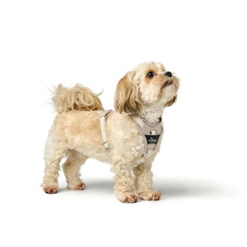 Hunter Geschirr Divo Up 14 Hunter Geschirr Divo Up -Myd Pet Geschaft prod 17224 225883 1000 none