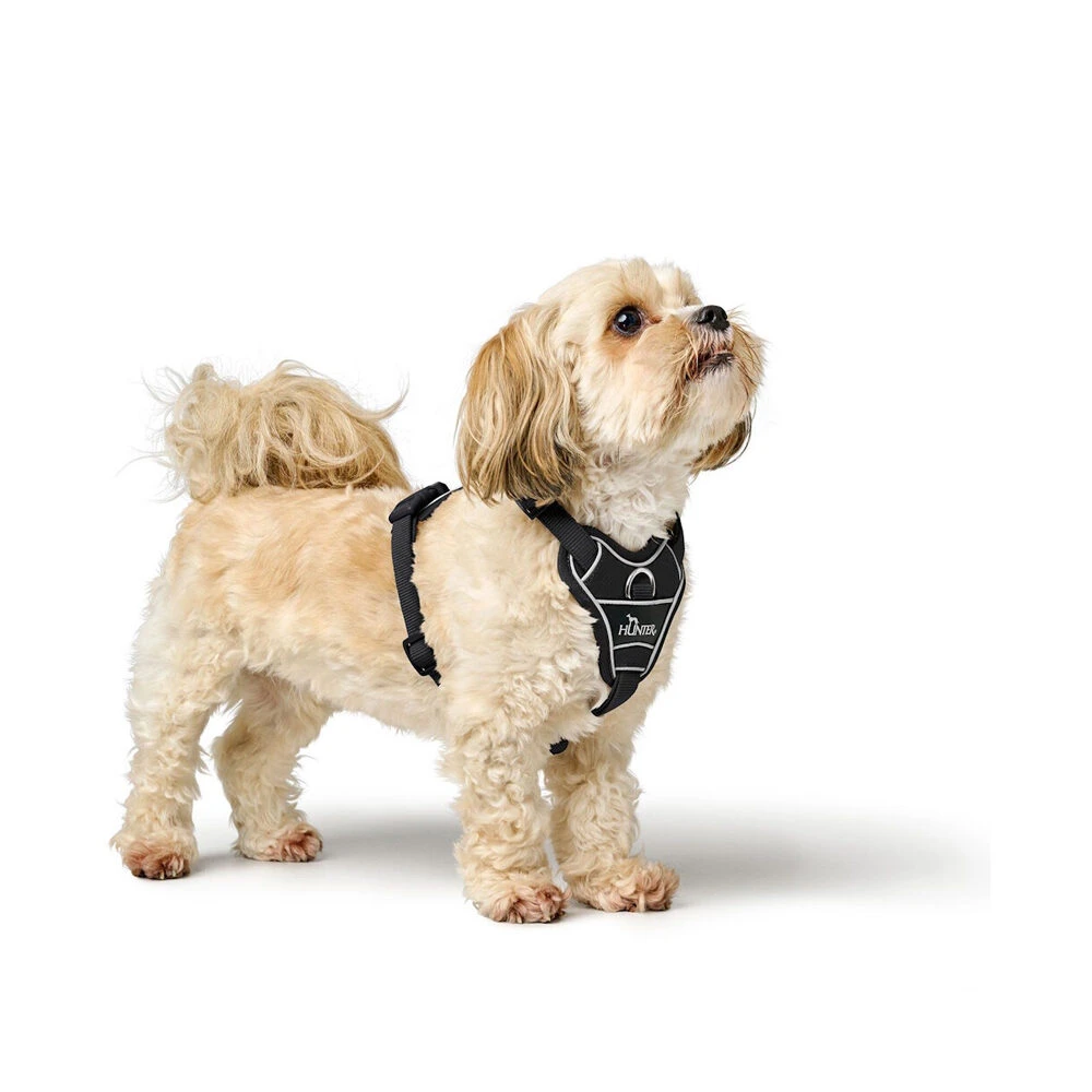 Hunter Geschirr Divo Up 5 Hunter Geschirr Divo Up – Bild 5