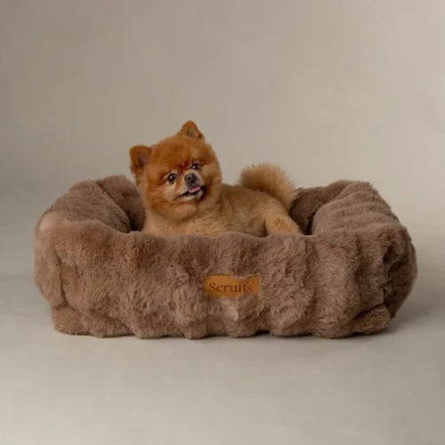 Scruffs Alpine Box Bed -Myd Pet Geschaft prod 17560 226676 1000 none