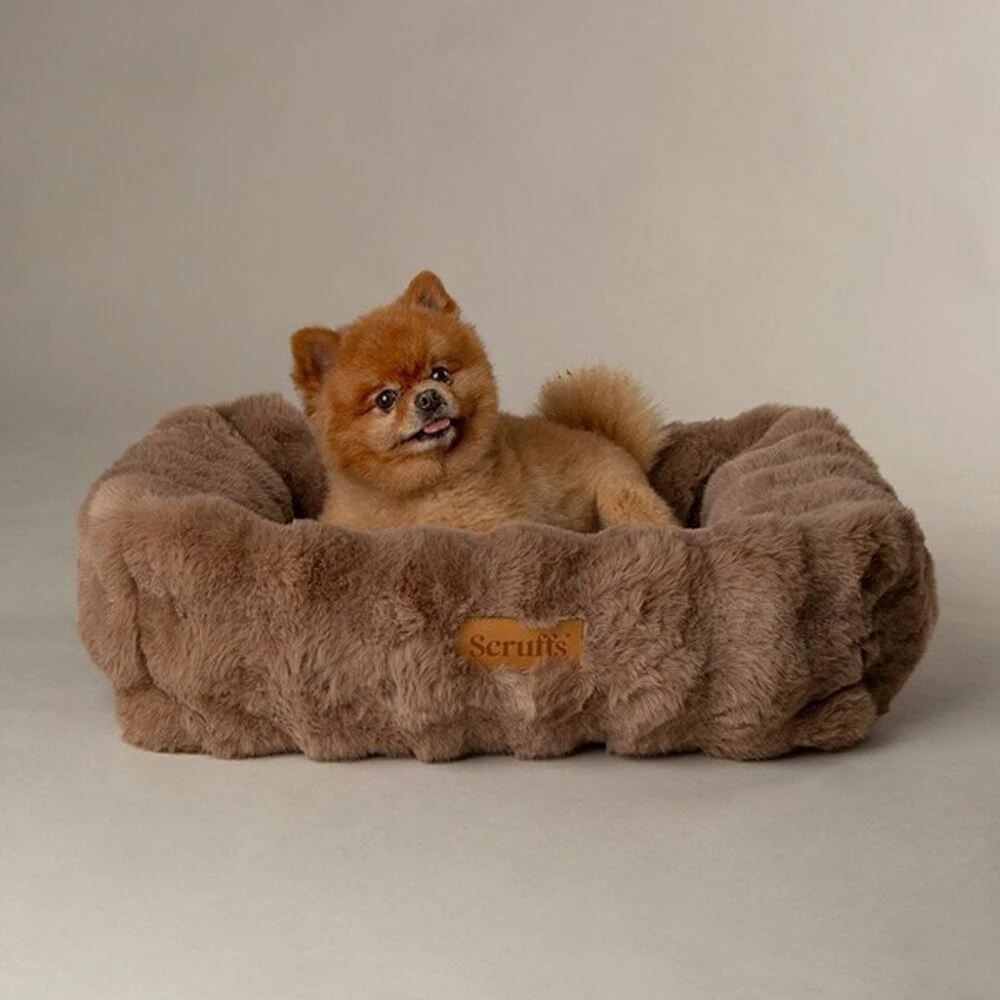 Scruffs Alpine Box Bed 4 Scruffs Alpine Box Bed – Bild 4