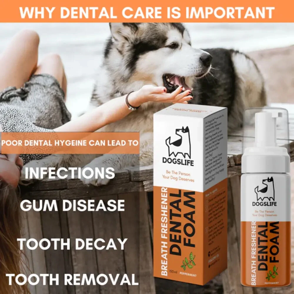 DogsLife Dental-Schaum 4 DogsLife Dental-Schaum – Bild 4
