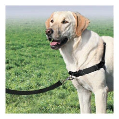 PetSafe Easywalk Trainigsgeschirr 14 PetSafe Easywalk Trainigsgeschirr -Myd Pet Geschaft product easywalk tuigje none 4 1477994349 79564