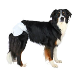 Trixie Hundewindeln Für Hündinnen 9 Trixie Hundewindeln Für Hündinnen -Myd Pet Geschaft product trixie diapers for female dogs none 4 1478697218 80152