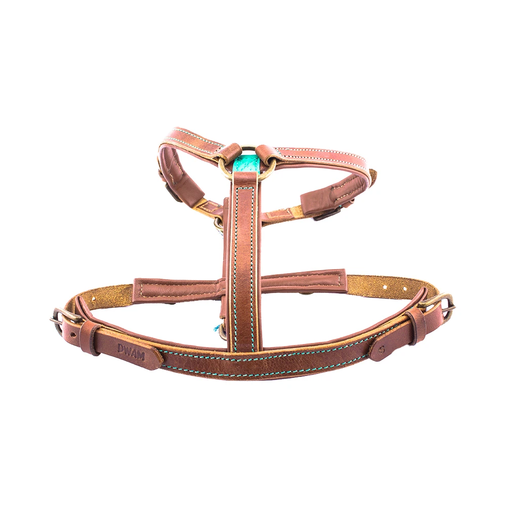 DWAM Hundegeschirr Boho Juan 3 DWAM Hundegeschirr Boho Juan – Bild 3