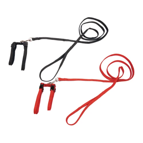 Beeztees Nylon Katzengeschirr 7 Beeztees Nylon Katzengeschirr -Myd Pet Geschaft rXAVXUgw8qBhZEkUoyKkyJm0D4xqzO metaQmVlenRlZXMtTnlsb24tS2F0dGVudHVpZ2plLW92ZXJ6aWNodC5wbmc