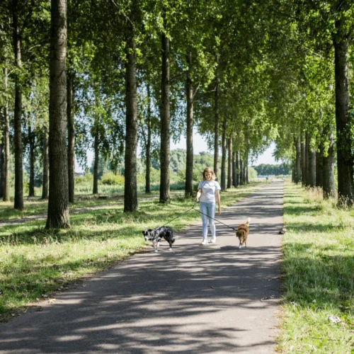 Rebel Petz Verstellbare Duo Leine -Myd Pet Geschaft rebel petz verstelbare duo riem 208532 2000 none