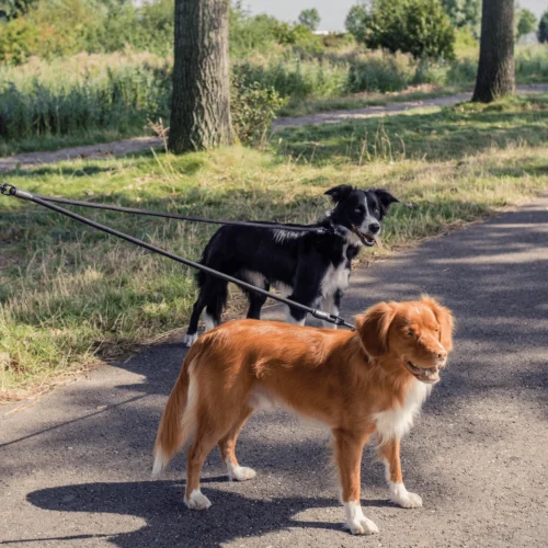 Rebel Petz Verstellbare Duo Leine -Myd Pet Geschaft rebel petz verstelbare duo riem 208541 2000 none