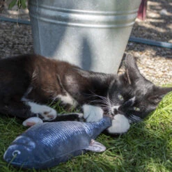 Robocat Lachs -Myd Pet Geschaft robocat zalm 168219 0500 none