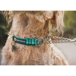 Ruffwear Chain Reaction Halsband -Myd Pet Geschaft ruffwear chain reaction halsband 225321 1000 none