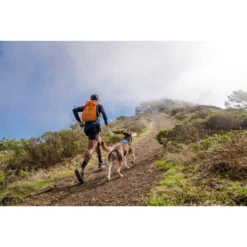 Ruffwear Hi & Light Harness -Myd Pet Geschaft ruffwear hi light harness 196016 2000 none