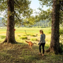 Ruffwear Knot-a-Hitch -Myd Pet Geschaft ruffwear knot a hitch 124643 0500 none