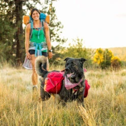 Ruffwear Palisades Pack -Myd Pet Geschaft ruffwear palisades pack 124637 0500 none