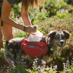 Ruffwear Palisades Pack -Myd Pet Geschaft ruffwear palisades pack 124640 0500 none