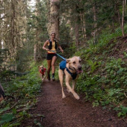 Ruffwear Roamer Leash -Myd Pet Geschaft ruffwear roamer leash blue atoll 204797 0500 none